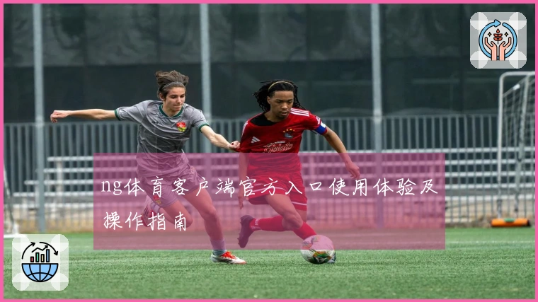 ng体育客户端官方入口使用体验及操作指南