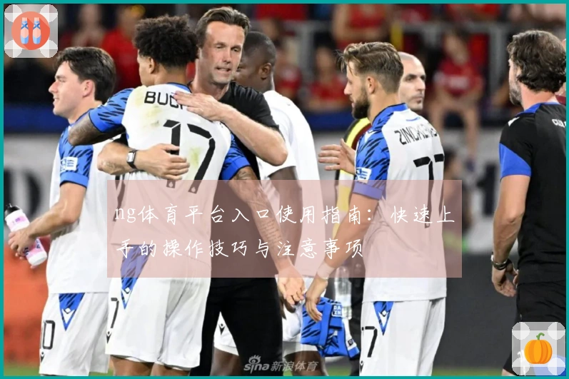 ng体育平台入口使用指南：快速上手的操作技巧与注意事项