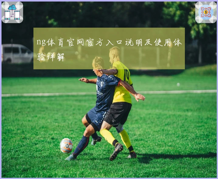 ng体育官网官方入口说明及使用体验详解