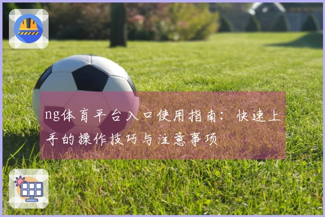 ng体育平台入口使用指南：快速上手的操作技巧与注意事项