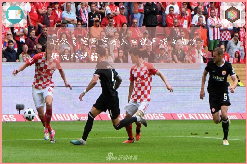 ng体育官网官方入口使用指南与注册流程详解