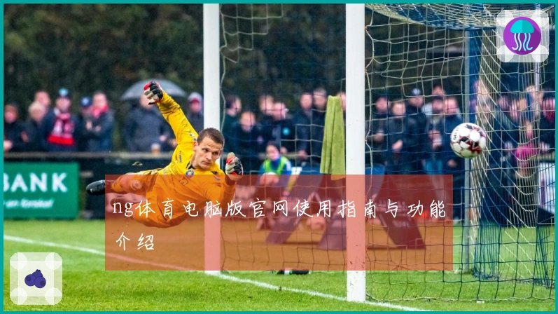 ng体育电脑版官网使用指南与功能介绍