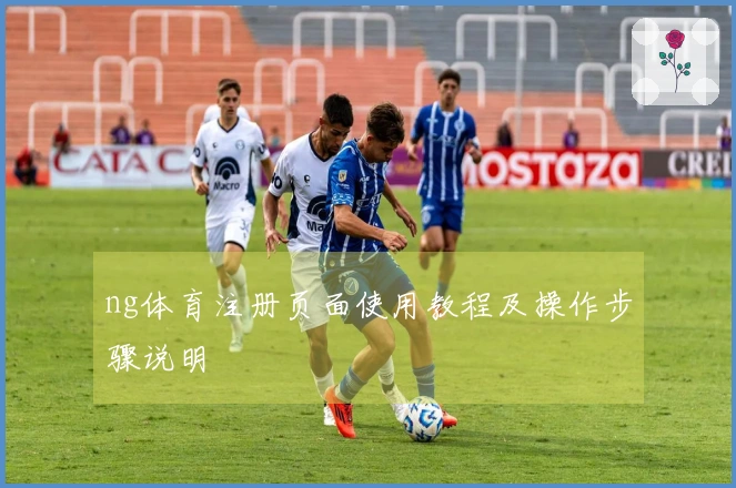 ng体育注册页面使用教程及操作步骤说明